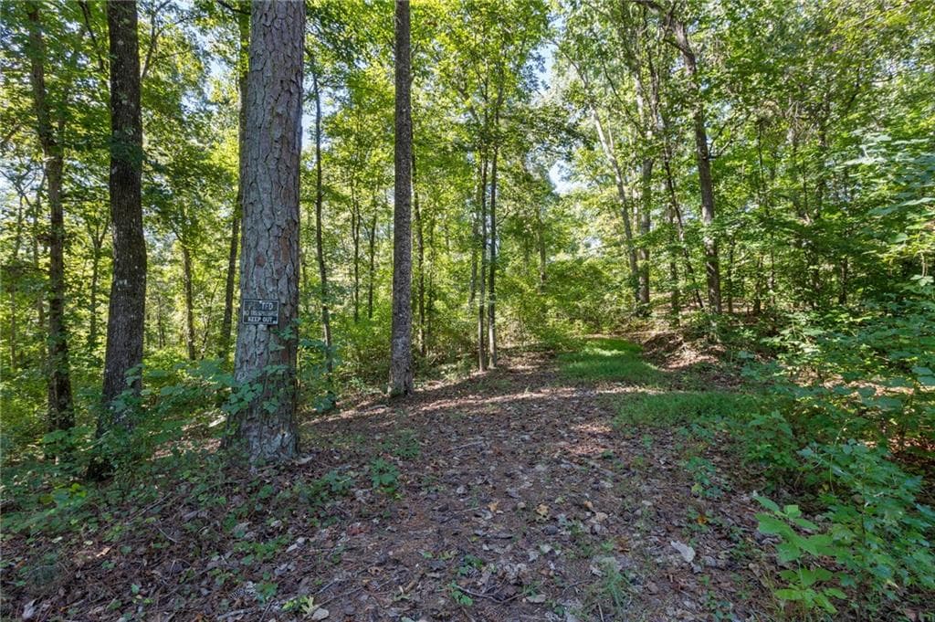 single family residence for sale at 11300 Hutcheson Ferry Road, Chattahoochee Hills, GA 30268 — photo 6