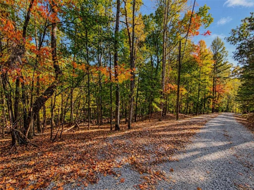 single family residence for sale at LOT 31 Opal Lane, Ellijay, GA 30536 — photo 2