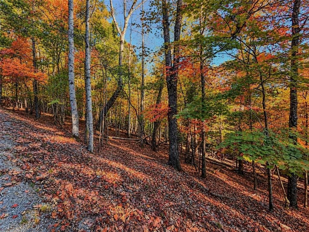 single family residence for sale at LOT 31 Opal Lane, Ellijay, GA 30536 — photo 3