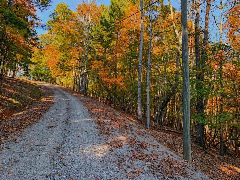 single family residence for sale at LOT 31 Opal Lane, Ellijay, GA 30536 — photo 4