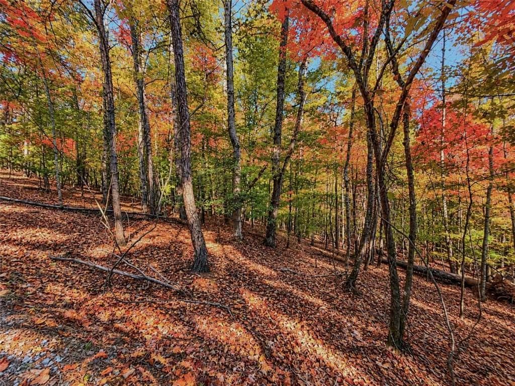 single family residence for sale at LOT 31 Opal Lane, Ellijay, GA 30536 — photo 5
