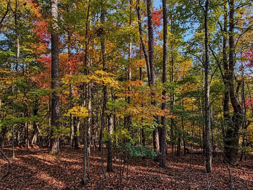 single family residence for sale at LOT 31 Opal Lane, Ellijay, GA 30536 — photo 6