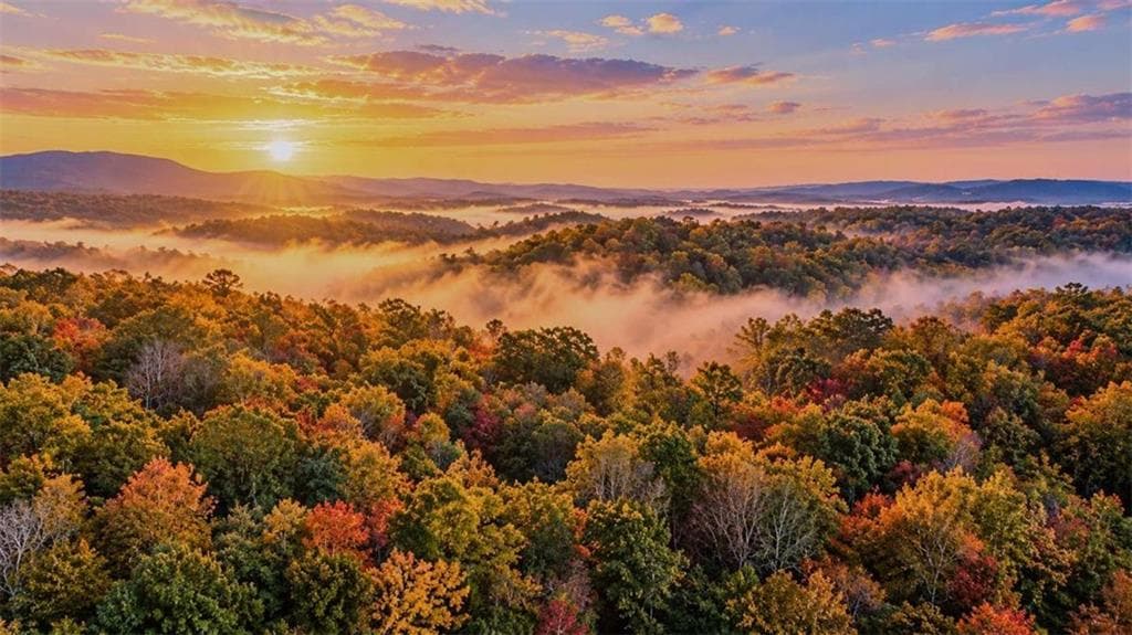 single family residence for sale at LOT 31 Opal Lane, Ellijay, GA 30536 — photo 7