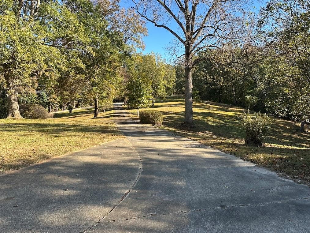 6 bedroom, 4 bathroom, 4,422 sq ft single family residence for sale at 455 Roy Brown Road, Buchanan, GA 30113 — photo 3