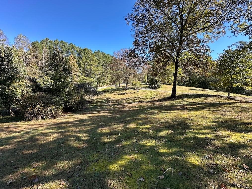 6 bedroom, 4 bathroom, 4,422 sq ft single family residence for sale at 455 Roy Brown Road, Buchanan, GA 30113 — photo 4