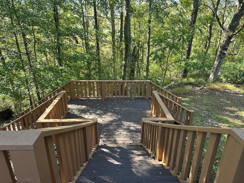 6 bedroom, 4 bathroom, 4,422 sq ft single family residence for sale at 455 Roy Brown Road, Buchanan, GA 30113 — photo 5