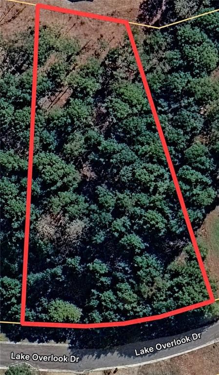 other for sale at 48 Lake Overlook Drive, White, GA 30184
