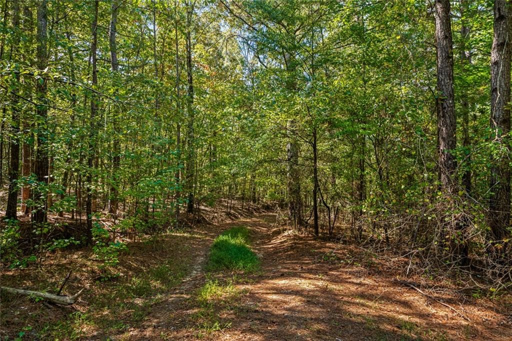 2 bathroom, 1,796 sq ft single family residence for sale at 3249 Wax Road, Aragon, GA 30104 — photo 4