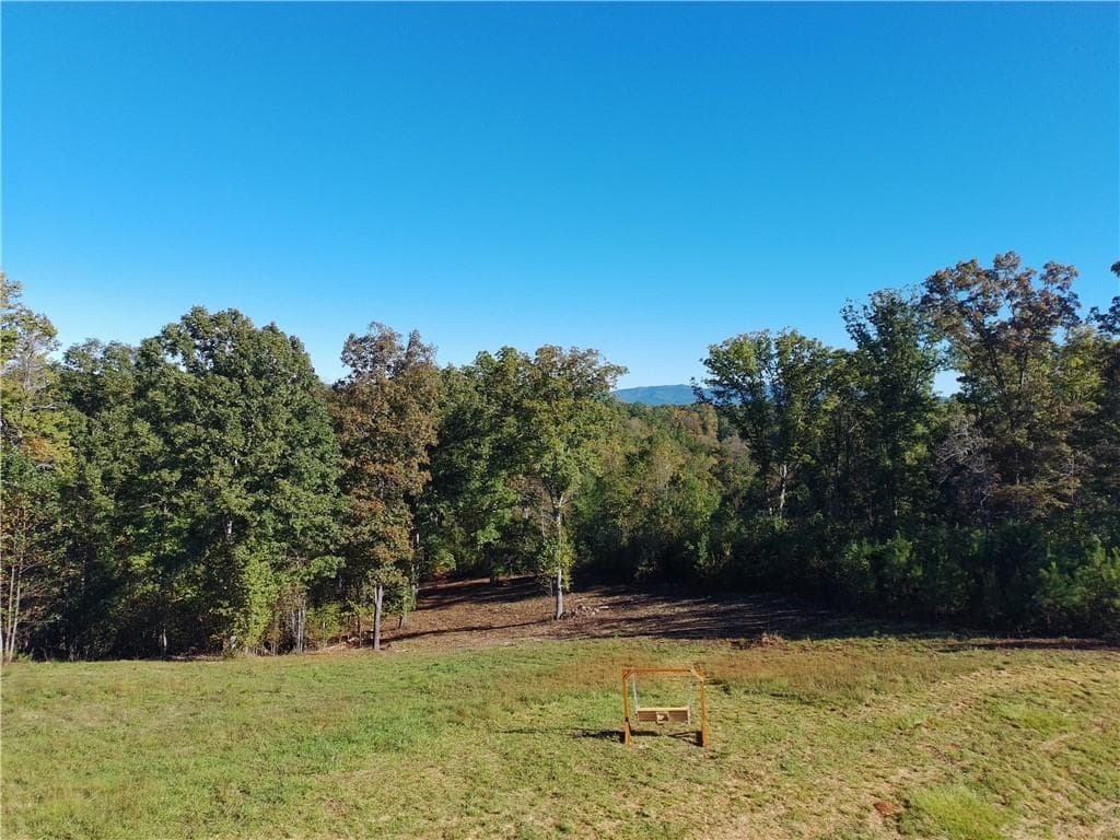 other for sale at 3 High River Road, Ellijay, GA 30540 — photo 9