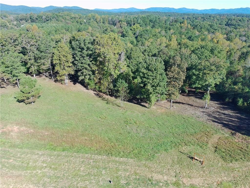 other for sale at 3 High River Road, Ellijay, GA 30540 — photo 10