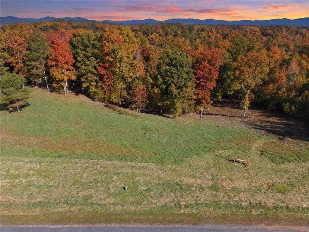 other for sale at 3 High River Road, Ellijay, GA 30540 — photo 5