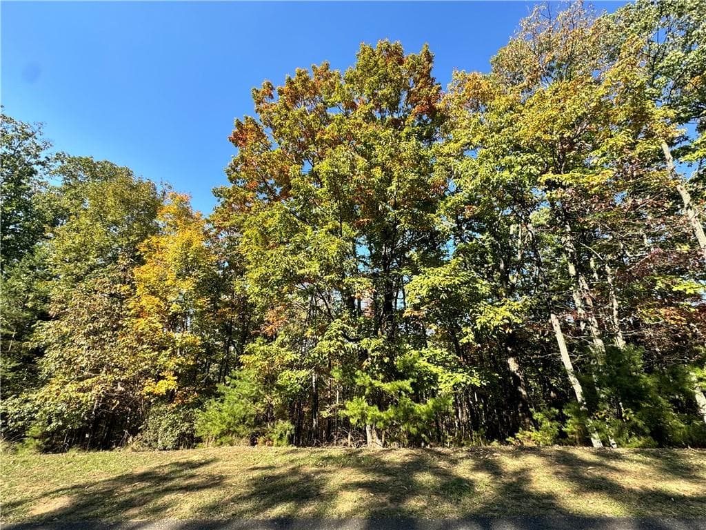 single family residence for sale at 0 Vista View Parkway, Jasper, GA 30143 — photo 2