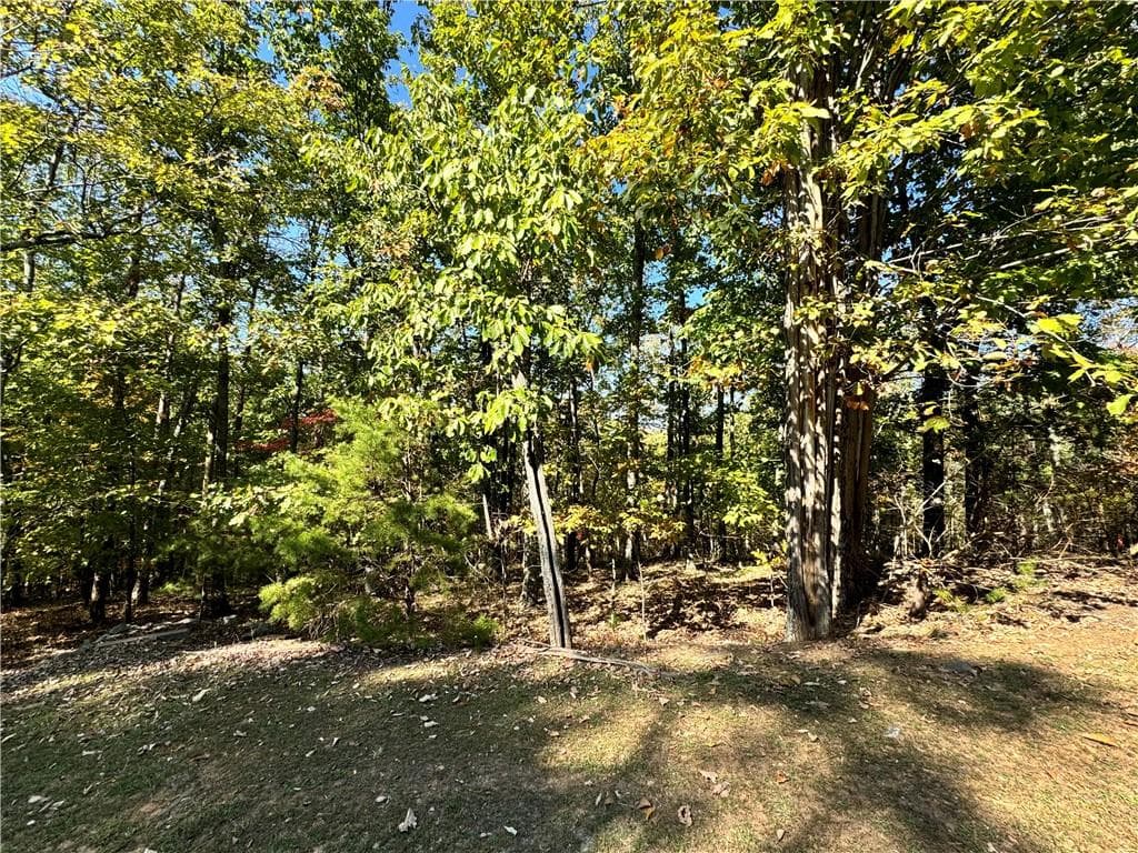 single family residence for sale at 0 Vista View Parkway, Jasper, GA 30143 — photo 7