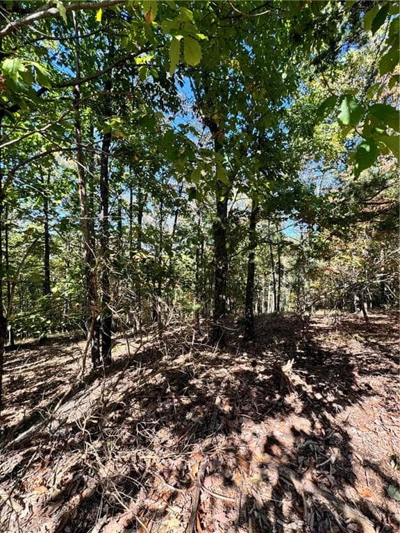 single family residence for sale at 0 Vista View Parkway, Jasper, GA 30143 — photo 9