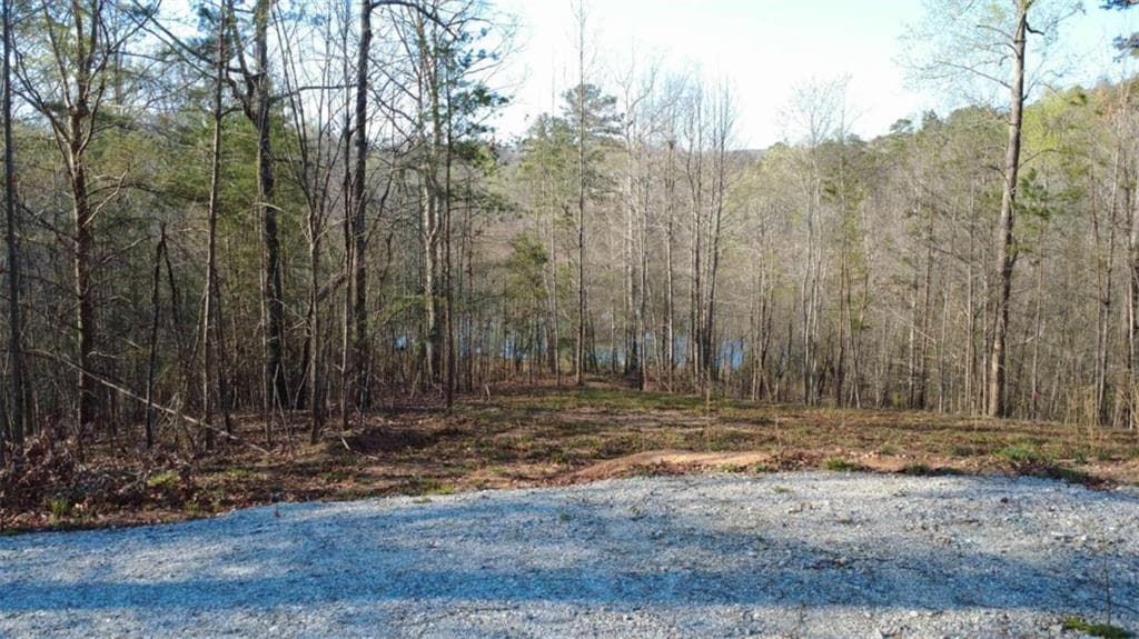 single family residence for sale at 000 Purvis Road, Baldwin, GA 30511 — photo 2