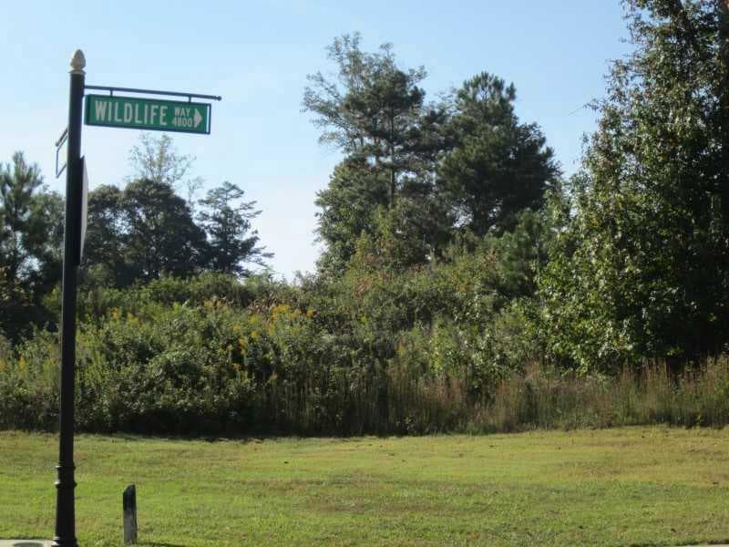 single family residence sold at 4833 Wildlife Way, Flowery Branch, GA 30542