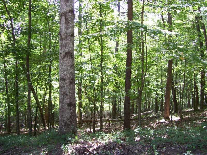 single family residence sold at 173 Little Coyote Loop, Waleska, GA 30183