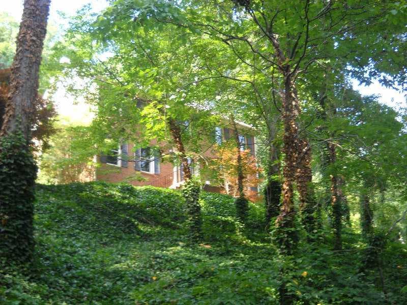297 Breeze Hill Lane, Canton, GA 30114 — most recent listing photo