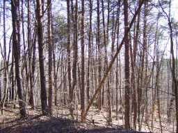 single family residence sold at 225 Morse Elm Loop, Waleska, GA 30183