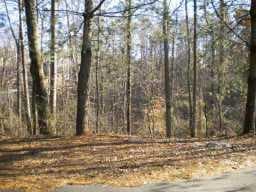 other sold at 4101 Big Creek Overlook, Alpharetta, GA 30005