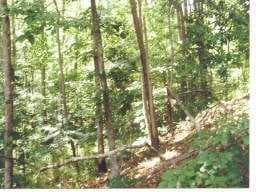 other sold at 0 Sweetwater Creek Drive, Canton, GA 30114