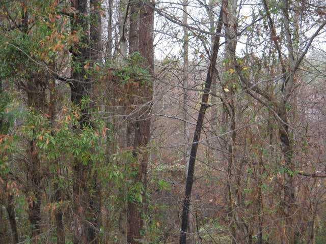 other sold at 5355 3 John Burruss Road, Cumming, GA 30040