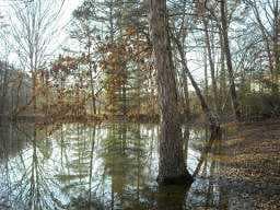 other sold at 123 Austin Road, Cartersville, GA 30120