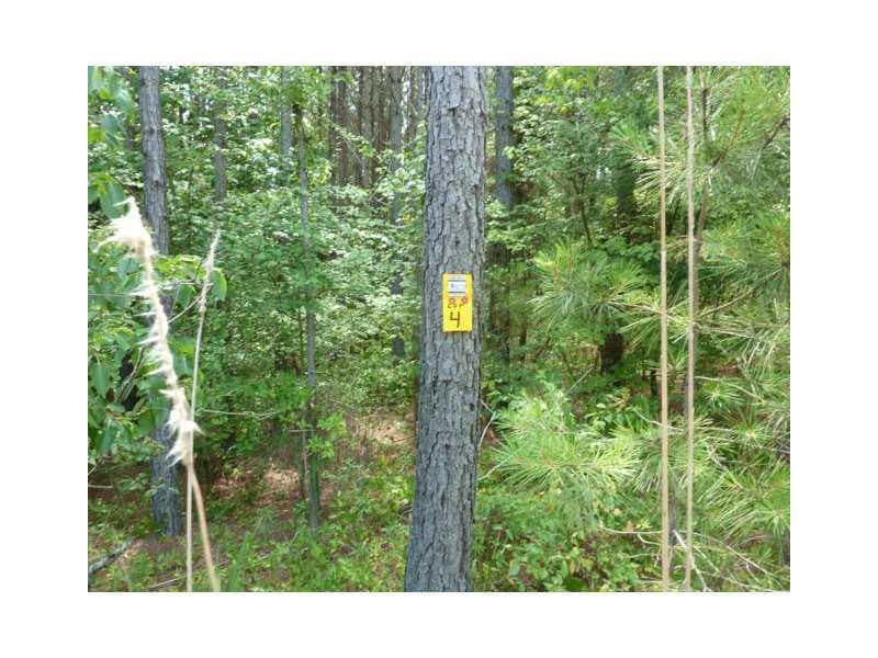 other sold at lot 4 Jacksonville Road, Tallapoosa, GA 30176