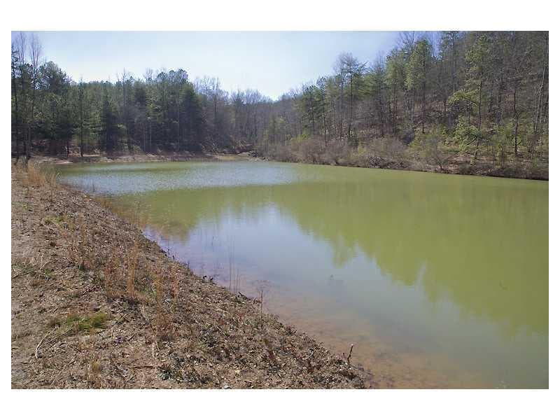 other sold at 00 Black Knob Church Road, Ranger, GA 30734