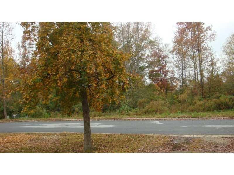 other sold at 4009 Wild Orchid Lane, Loganville, GA 30052