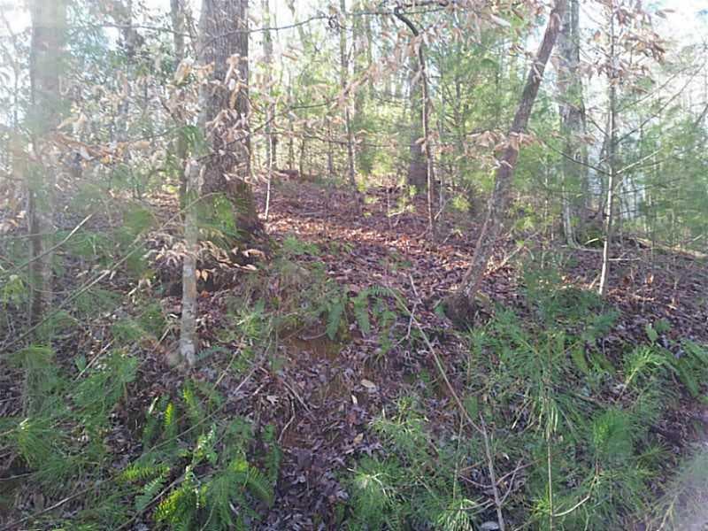 single family residence sold at 0 Cove View Way Road, Jasper, GA 30143