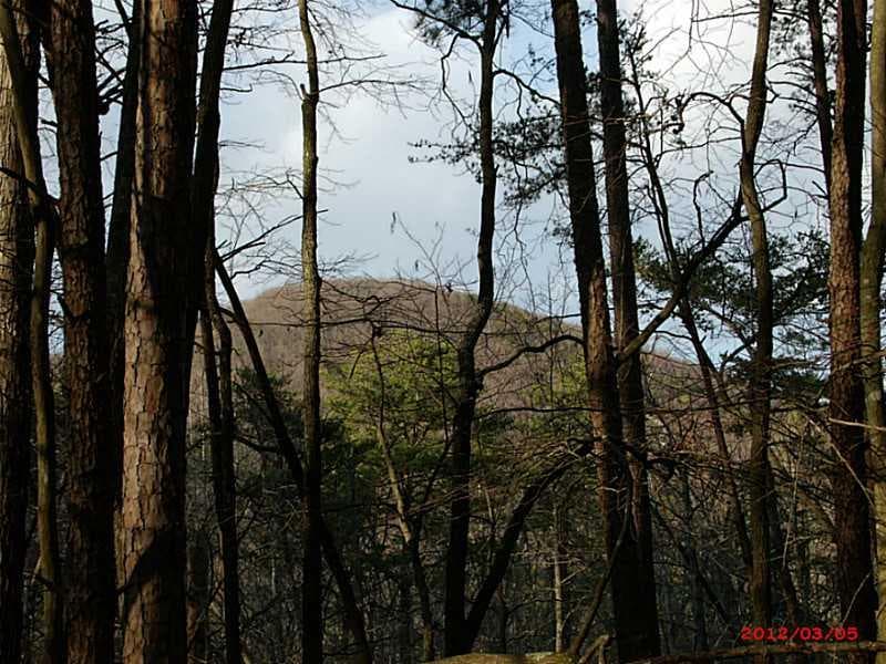 other sold at 0 Mountain Crest Drive, Jasper, GA 30143