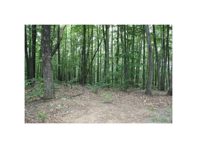 other sold at 00 Woods Drive, Talking Rock, GA 30175