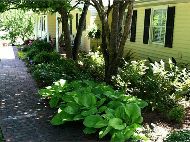 1106 PIEDMONT Way, Gainesville, GA 30501 — most recent listing photo