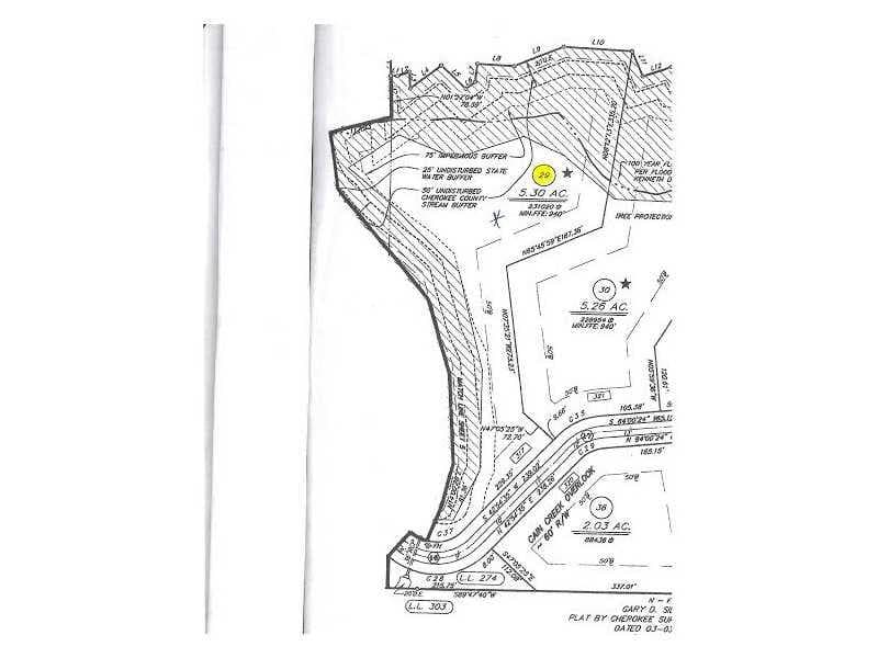 single family residence sold at 317 Cain Creek Overlook, Ball Ground, GA 30107