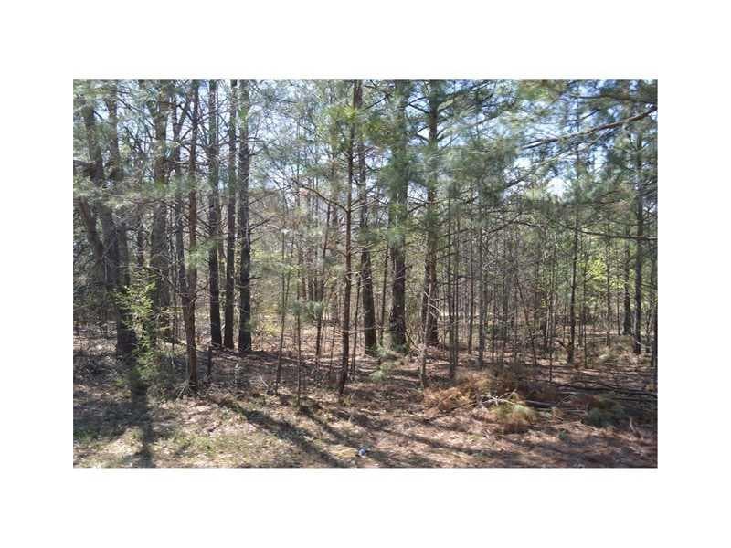 single family residence sold at 0 Hwy 85 Connector T 4, Brooks, GA 30205