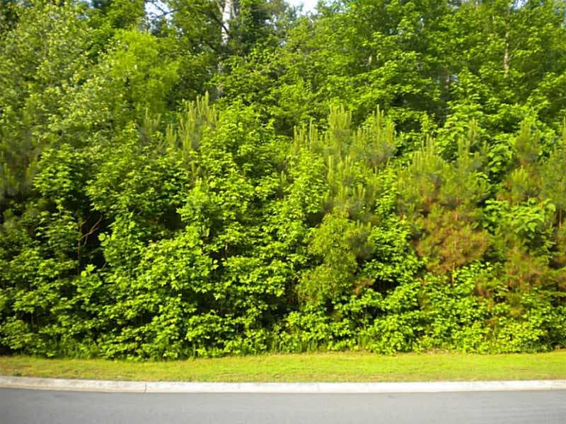single family residence sold at 0 Camden Cove Drive, Cumming, GA 30040
