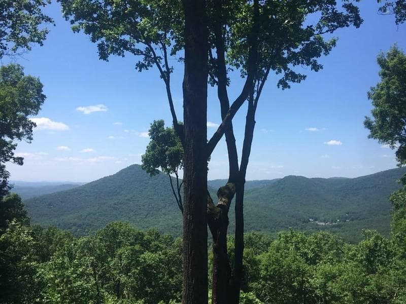923 Chestnut Cove Trail, Jasper, GA 30143 — most recent listing photo