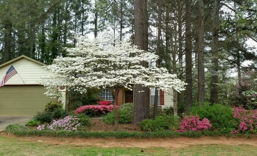 991 Orchard Mill Lane, Lawrenceville, GA 30043 — most recent listing photo