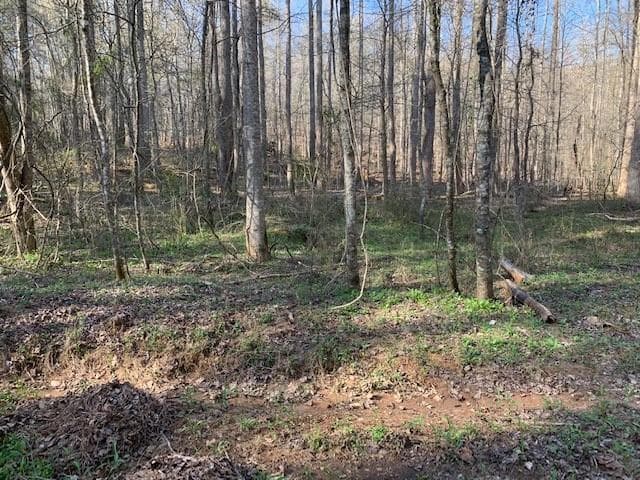 00 Modal Lane, Ellijay, GA 30540 — most recent listing photo
