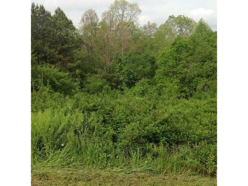 single family residence sold at Lot 14 Hampton Farms Trail, Jasper, GA 30143