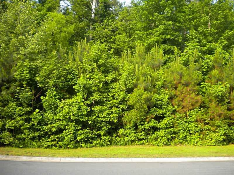 0 Camden Cove Drive, Cumming, GA 30040 — most recent listing photo