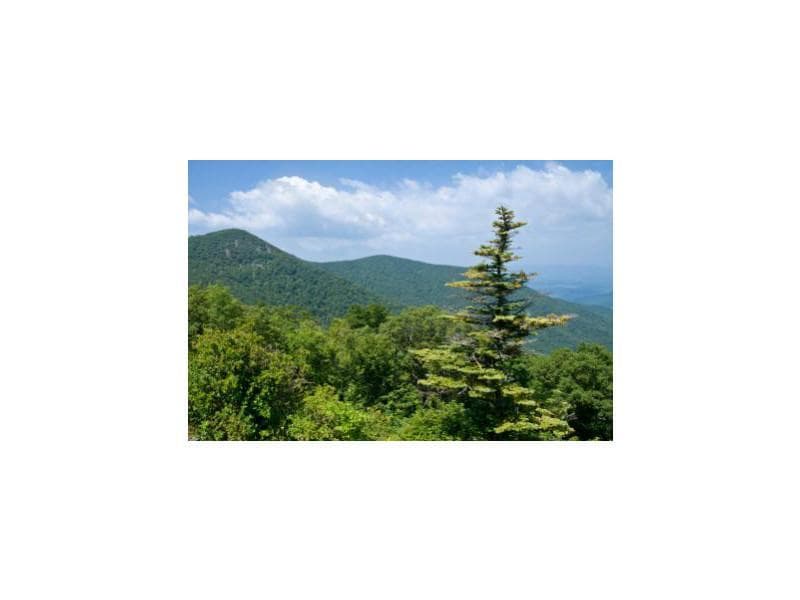 other sold at 3504 Bear Creek Drive 3504, Jasper, GA 30143