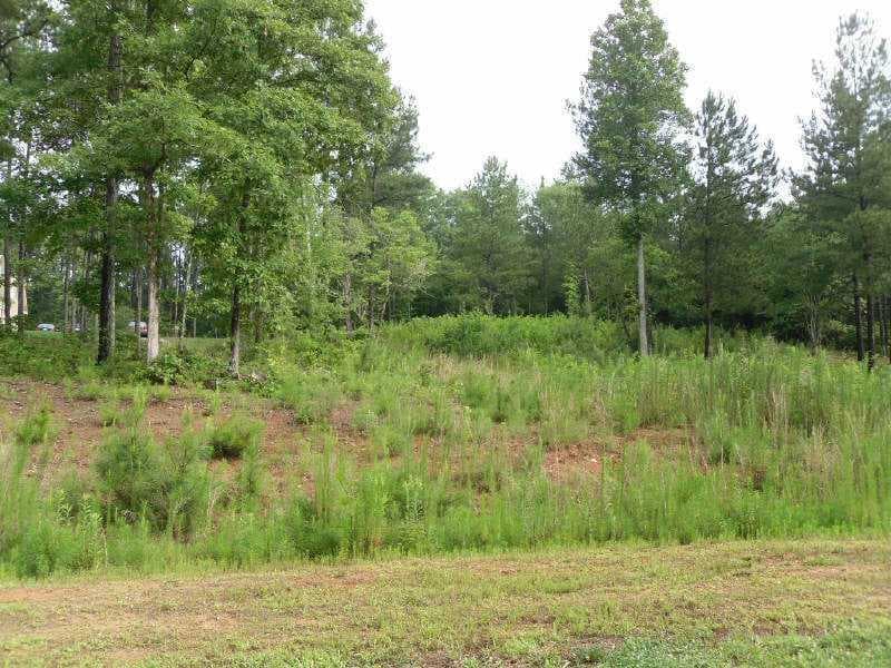 other sold at 243 Heritage Creek Trail, Ball Ground, GA 30107