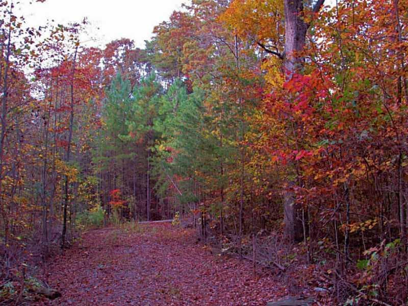other sold at 0 Homer Wright Road, Ellijay, GA 30536