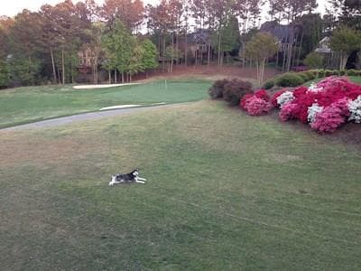 702 E Green Lane, Woodstock, GA 30189 — most recent listing photo