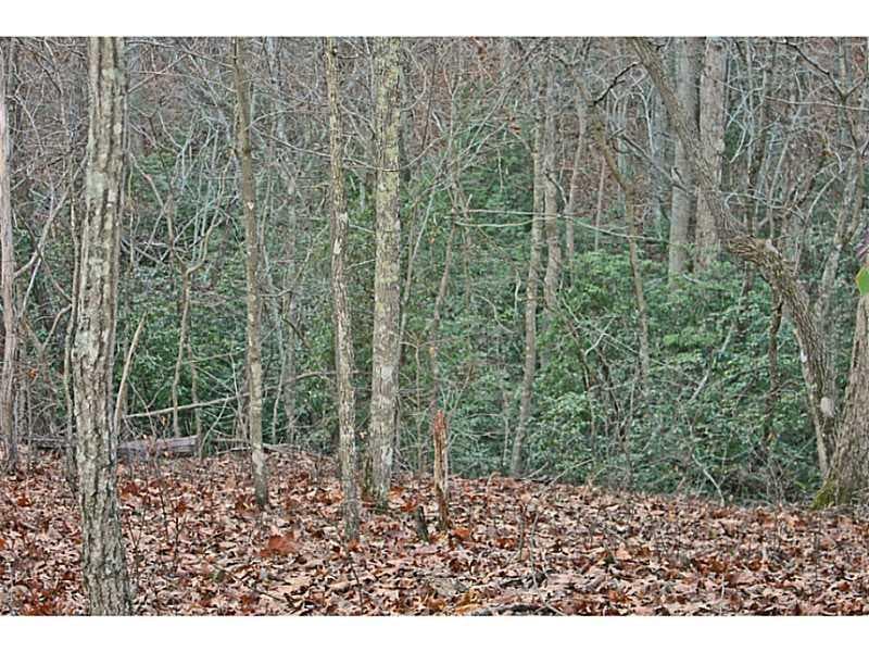 single family residence sold at TractB Hardwood Trail, Canton, GA 30115