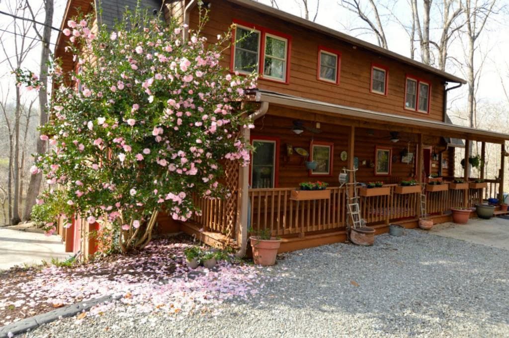195 N Lake Court, Canton, GA 30115 — most recent listing photo