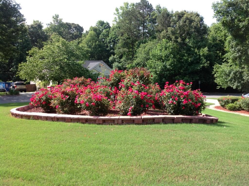 4 bedroom single family residence sold at 1954 Green Gables Circle, Buford, GA 30519
