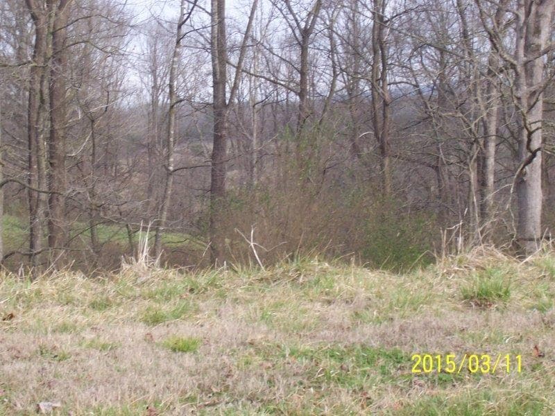 other sold at 6266 Roy Guest Road, Clermont, GA 30527